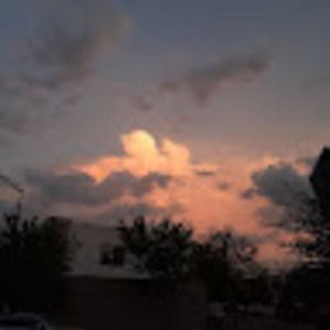 Meet your Posher, Lenys